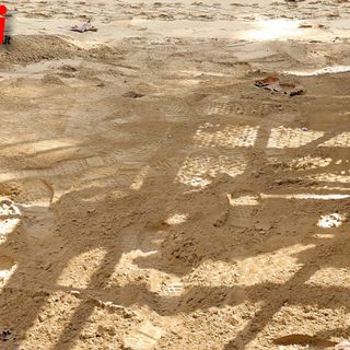 Ph Efrem Zanchettin - Merfephoto (archivio)