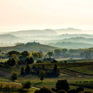 Consorzio Barbera d’Asti e vini del Monferrato è partner di Monsterrando