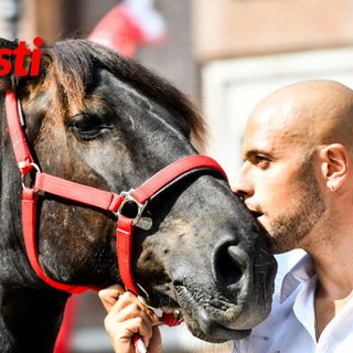 La sbandierata dell'Asta in piazza San Secondo (Fotoservizio Gauzzone, Merphefoto, Olimpi)
