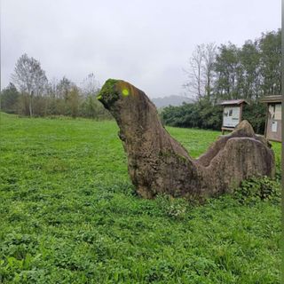 Il dinosauro deturpato