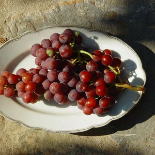 L'Arte Incontra il vino a Costigliole d'Asti