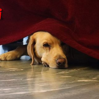 Ottobre, tre giornate per la sensibilizzazione sulla disabilità visiva