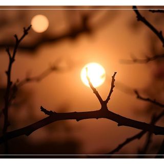 Ph Merfephoto