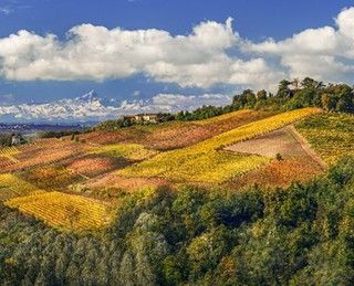 La Meraviglia Unesco: Langhe, Roero e Monferrato attraverso gli occhi di tre fotografi