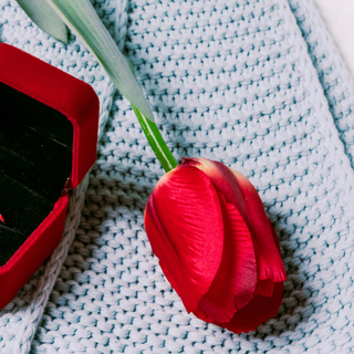 A San Valentino regala un Gioiello: simbolo dell’amore e dell’eternità