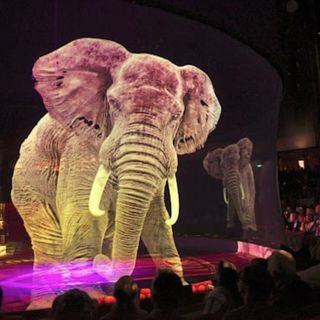 Foto pagina Fb Circus Atmosphere