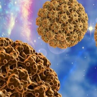 Giornata internazionale contro l’infezione HPV: anche al Massaia uniti per sconfiggere il virus