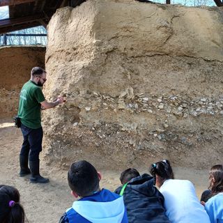 Aprile al Parco Paleontologico: eventi per famiglie tra fossili e natura Aprile al Parco Paleontologico: eventi per famiglie tra fossili e natura