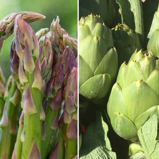 Asparagi Saraceni di Vinchio e Carciofi della Valtiglione Asparagi Saraceni di Vinchio e Carciofi della Valtiglione