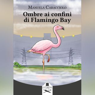 La copertina del romanzo