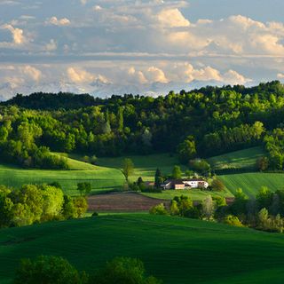 Un bellissimo scatto di natura Astigiana ritratta dal fotografo Enzo Isaia