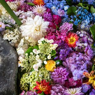 Affrontare la perdita di una persona cara: un dolore profondo e complesso