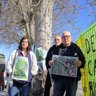 Il recente presidio contro l'abbattimento