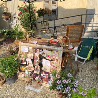 Cerreto d'Asti in festa tra rose e arte: il 4 maggio torna la magia