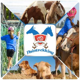 Il 5 aprile open day per il centro estivo all’Asintrekking Asd