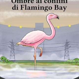 "Ombre ai confini di Flamingo Bay": presentazione del nuovo romanzo di Manuela Caracciolo