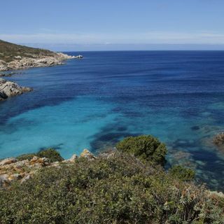 Escursioni all'Asinara: un'esperienza indimenticabile tra mare e natura