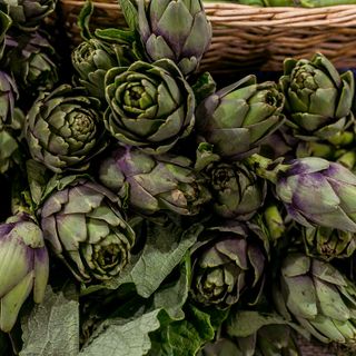 Costigliole d’Asti celebra il carciofo astigiano con la prima Sagra dell’articiòch