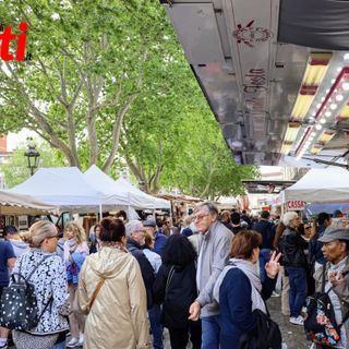 La galleria fotografica è di Efrem Zanchettin