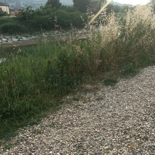 Percorso ciclabile sull’argine tra piazzale Ercole e Amendola: fondo in ghiaia e accessi pericolosi