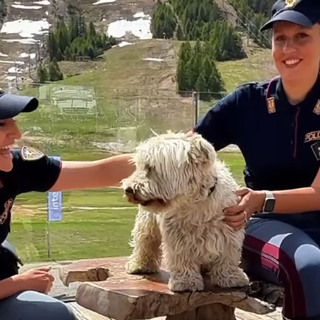 Vacanze sì, abbandoni no