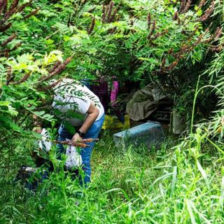 Volontari alla Casa dell'avvocato