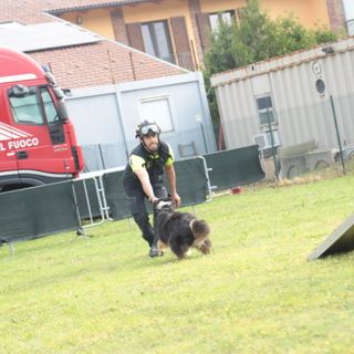 Ricerche sotto le macerie, dall’Aquila a Rigopiano: ora i cani di Volpiano hanno una scuola rinnovata [VIDEO]