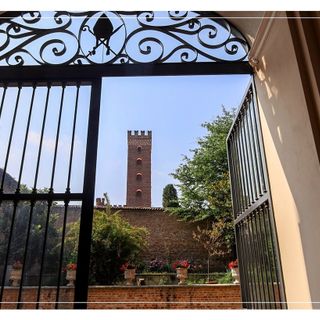 Ph Efrem Zanchettin - Merfephoto Ph Efrem Zanchettin - Merfephoto