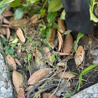 Si lavora alle fioriere cittadine