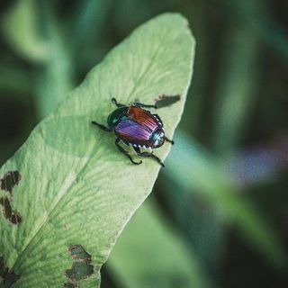 Foto di Richie Bettencourt - tamite Unsplash