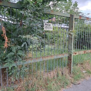 Le immagini allegate all'interpellanza