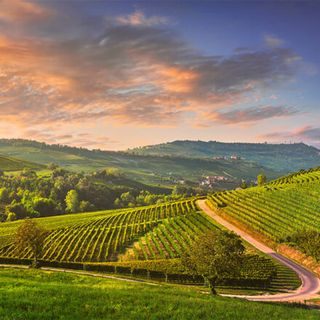 “Coltiva Italia”, un miliardo per l’agricoltura: la sfida del Governo contro i tagli UE