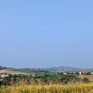 &quot;Il cinema in vigna&quot; a Tuffo: una serata tra film e vino sotto le stelle