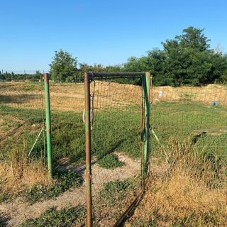 Un'immagine del parco