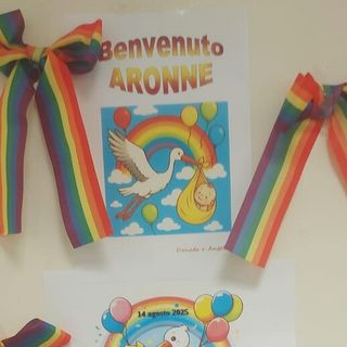 "Piaccia o no, alla nascita siamo maschi o femmine": il consigliere regionale Sacchetto contro le politiche di Padova e Bologna