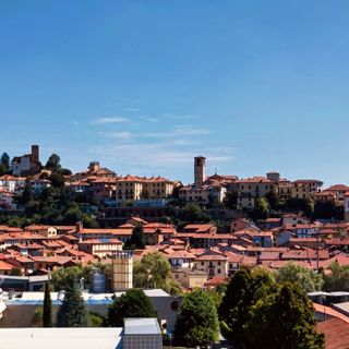 Le tradizionali Feste 'd San Roch animano Castelnuovo Don Bosco