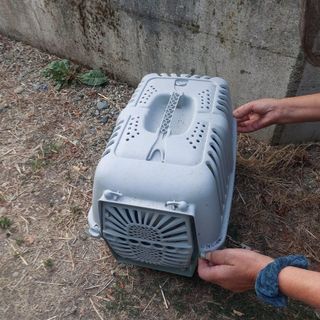 L'immagine dal profilo FB di uno dei volontari