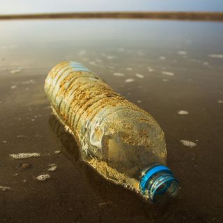 Sole, spiagge, vacanze e responsabilità: l’estate giusta per combattere la plastica nel mare