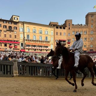 La tratta del Palio (Ph Comune di Siena)