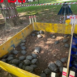 Le immagini della pulizia (Ph Giulia Frontino) Le immagini della pulizia (Ph Giulia Frontino)