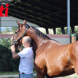 Le visite di oggi pomeriggio (Merphefoto) Le visite di oggi pomeriggio (Merphefoto)