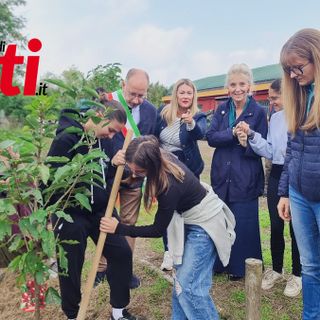 Le immagini della mattinata (Ph J.DeM.A.)