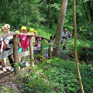 Bambini creativi disegneranno la segnaletica della Riserva dei fossili