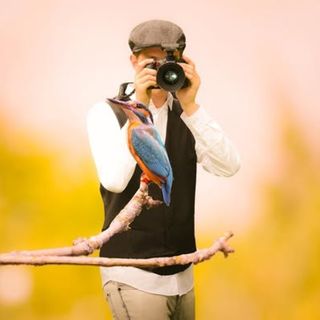 La passione per i volatili tra i motivi di vacanza nell'Astigiano La passione per i volatili tra i motivi di vacanza nell'Astigiano