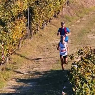 Trail della Barbera: Mongardino si prepara alla grande festa del trail running