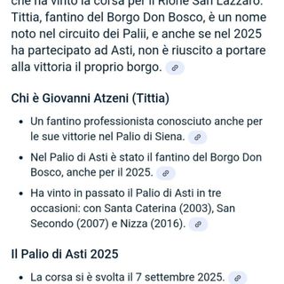 La pagina web con il verdetto dell'ai