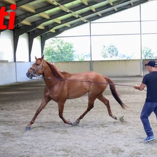 Le foto della prima giornata di visite (Merphefoto) Le foto della prima giornata di visite (Merphefoto)