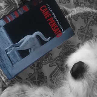 "Cani di domani”: ad Asti una rassegna per riflettere sul nostro rapporto con i cani