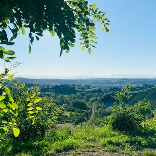 Castagnole delle Lanze, il Tar ferma il maxi-impianto: "Manca la motivazione"