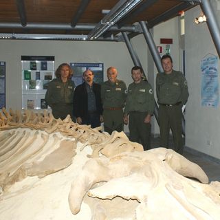 Al Museo Paleontologico di Asti un pomeriggio tra fossili, gioco e avventura